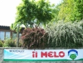 CAMPING IL MELO in 12016 Peveragno / Piemont / Italië