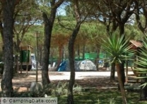 Camping Doñana Playa in 21130 Mazagon / Huelva / Spanje