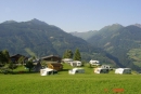 Bauerncamping Oberhasenberghof in 5660 Taxenbach / Zell am See / Oostenrijk