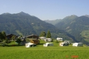 Bauerncamping Oberhasenberghof in 5660 Taxenbach / Salzburg / Oostenrijk