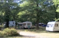 Bois de Saint-Hilaire in 86190 Chalandray / Poitou-Charentes / Frankrijk