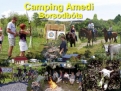 Camping Amedi in 3658 Borsodbóta / Hongarije