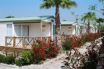 Camping Playa Cambrils Don Camilo in 43850 Cambrils / Tarragona / Spanje