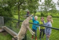 Boerderij Hazenveld mini-camping/B&B*** in 3628 Kockengen / Utrecht / Nederland