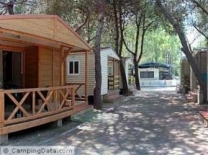 Camping Barraquetes in 46410 Sueca / Landes Valencia / Spanje