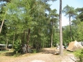Natuurcamping Fazantenhof in 3739 Hollandsche Rading / De Bilt / Nederland