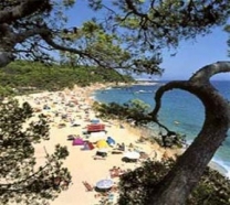 Camping Internacional De Calonge in 17251 Calonge / Girona / Spanje