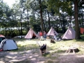 Campingplatz am Gobenowsee in 17255 Drosedow / Mecklenburg-Vorpommern / Duitsland