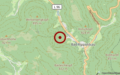 Navigation zum Campingplatz Alisehof Schwarzwald-Camping